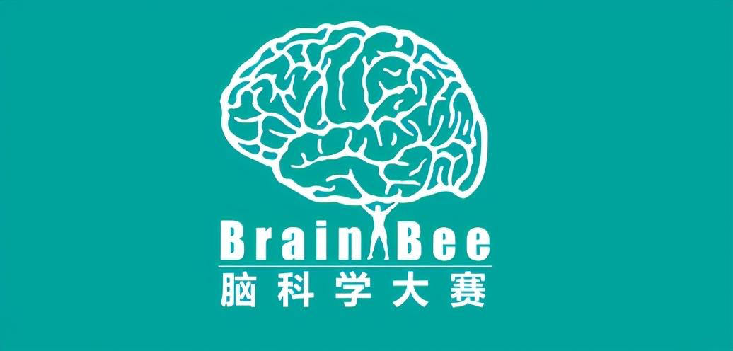 在腦科學(xué)比賽中，實(shí)外國(guó)際部學(xué)子是如何一往無(wú)前的？